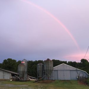Farm Rainbow
